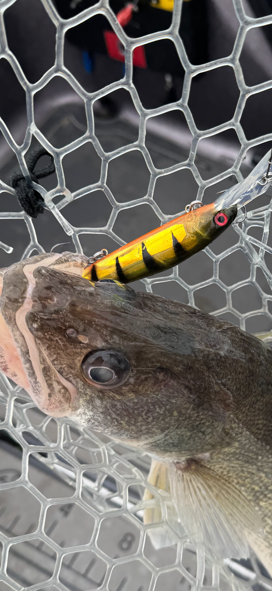 Glass Perch UV