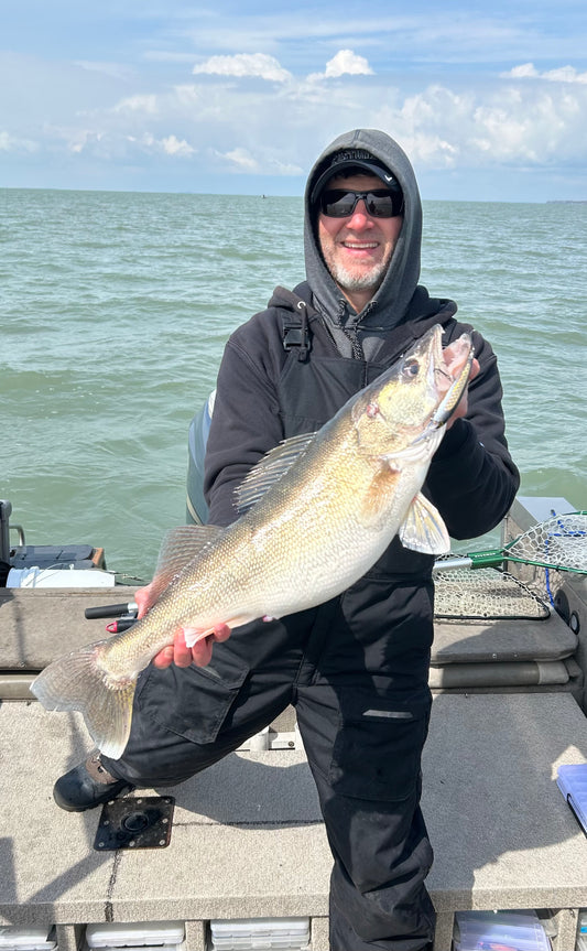 Black & Gold UV Foil