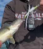 Shad-Tastic