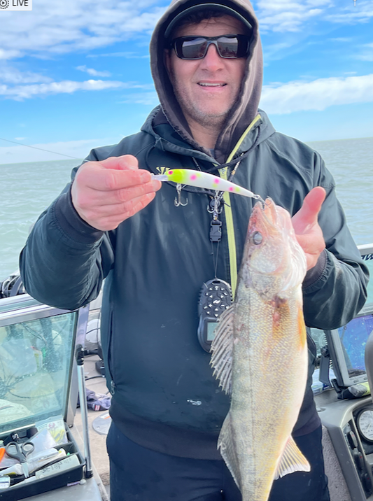 Blueberry Cheesecake