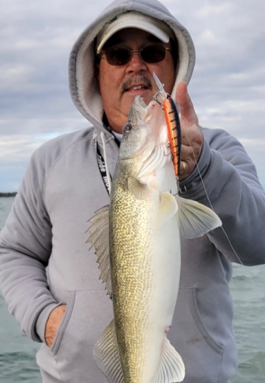 Copper Greasy Chicken Wing