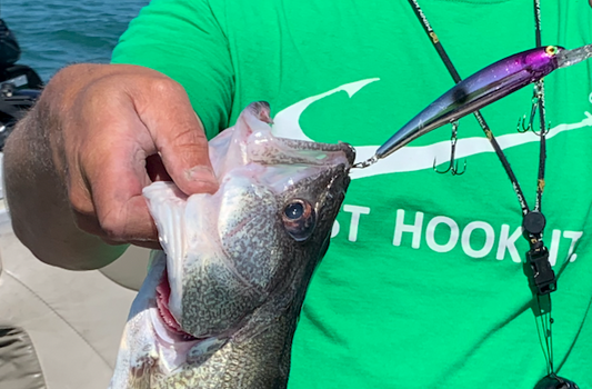 Purple & Black Chrome