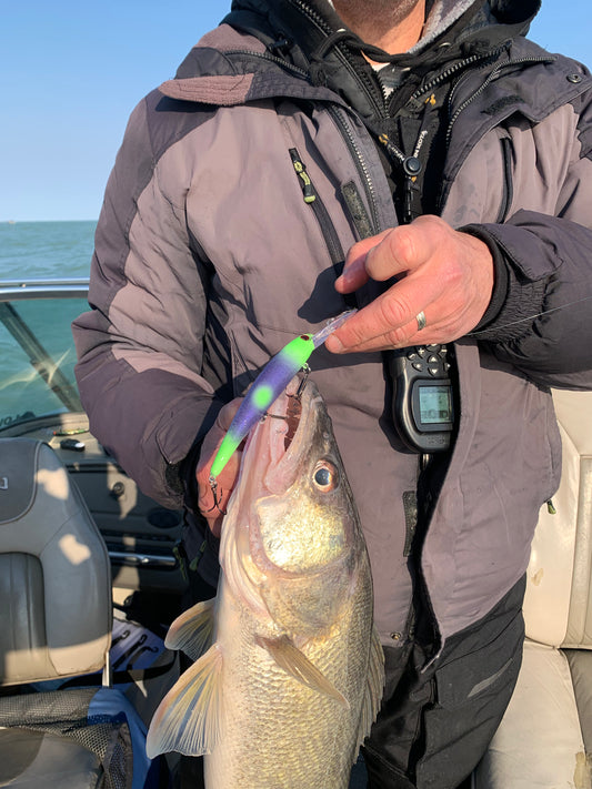 Sea-sick Barney (aka Barney Bad-@$$)