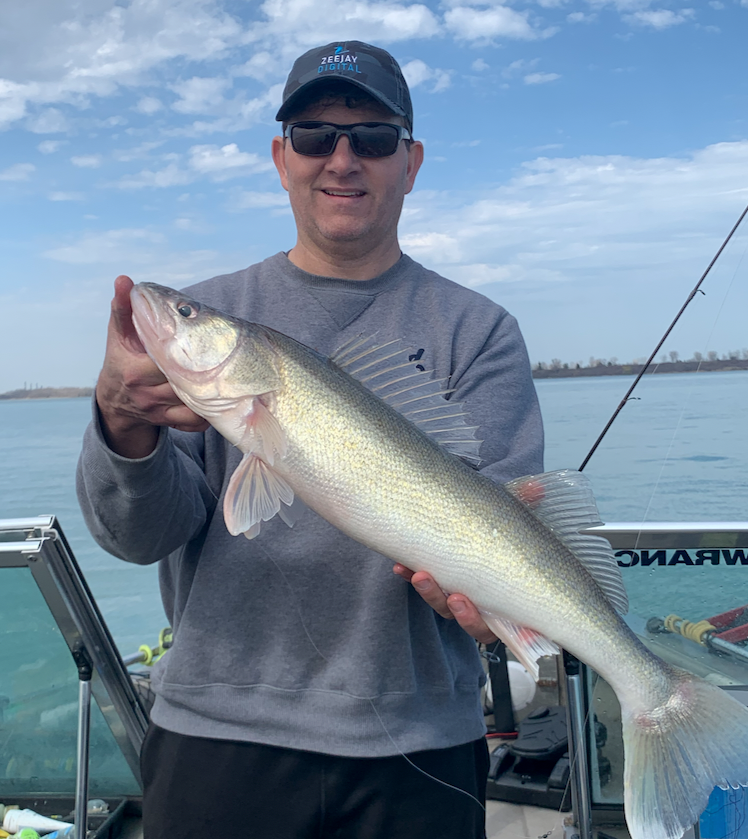 shimano bait casting rods Convergence D CVC70MD Rod designed rods provide the Reaction Innovations Shimano CURADO 70HG – Size:1/2oz Chrome Dressed with Treble