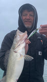 Shad-Tastic