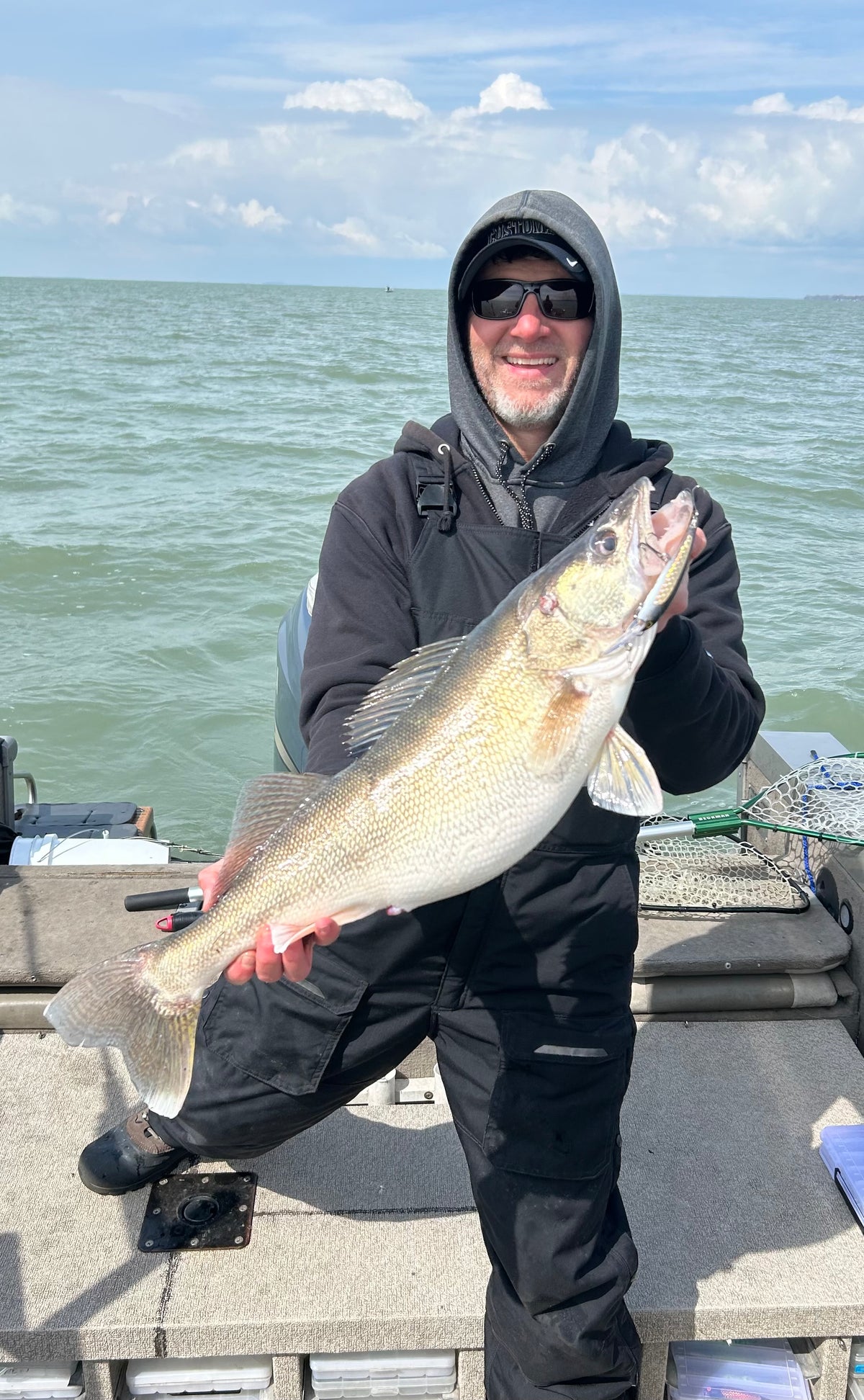 Black & Gold UV Foil