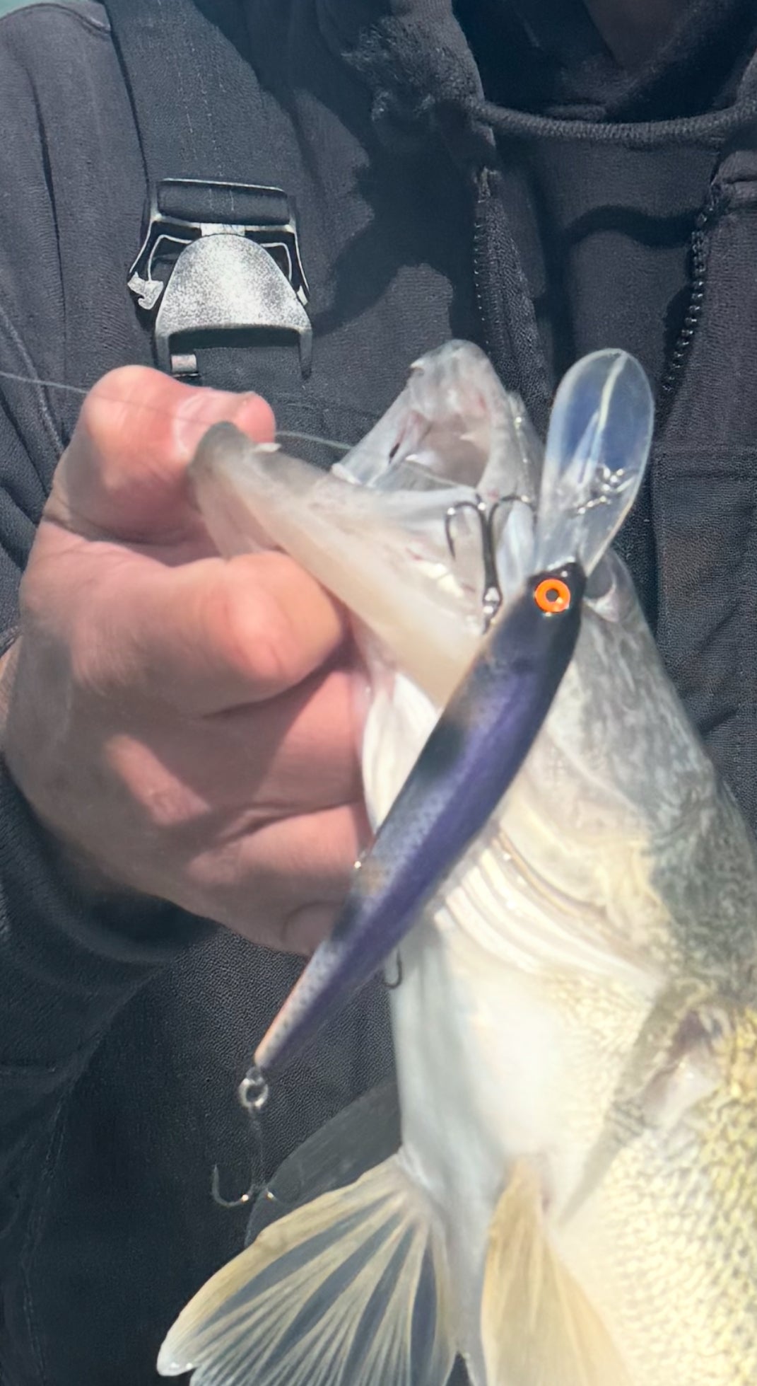 Double Barrel Chrome