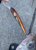 Copper Back Shad