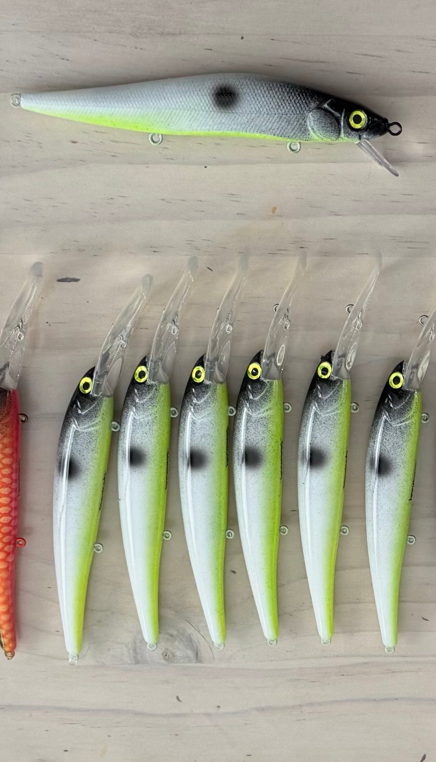 Shad-Tastic
