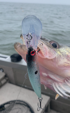 Load image into Gallery viewer, Glacier Shad
